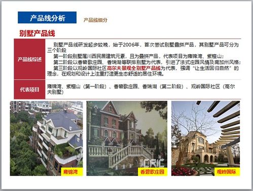 房地產(chǎn)公司系列產(chǎn)品線(xiàn)研究 構(gòu)建多元化與差異化的戰(zhàn)略布局